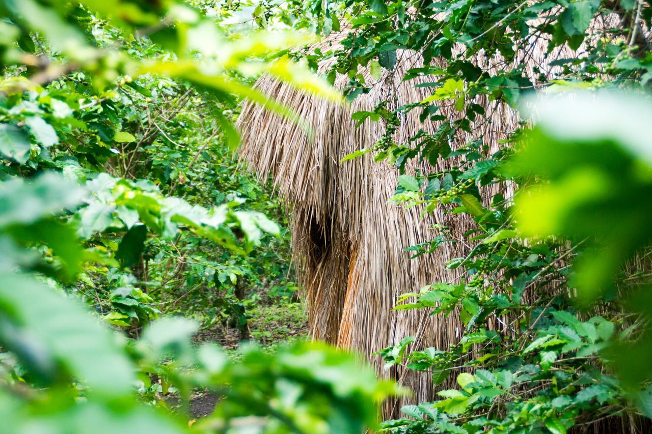Queen Elizabeth Pvt Lodge Kichwamba المظهر الخارجي الصورة